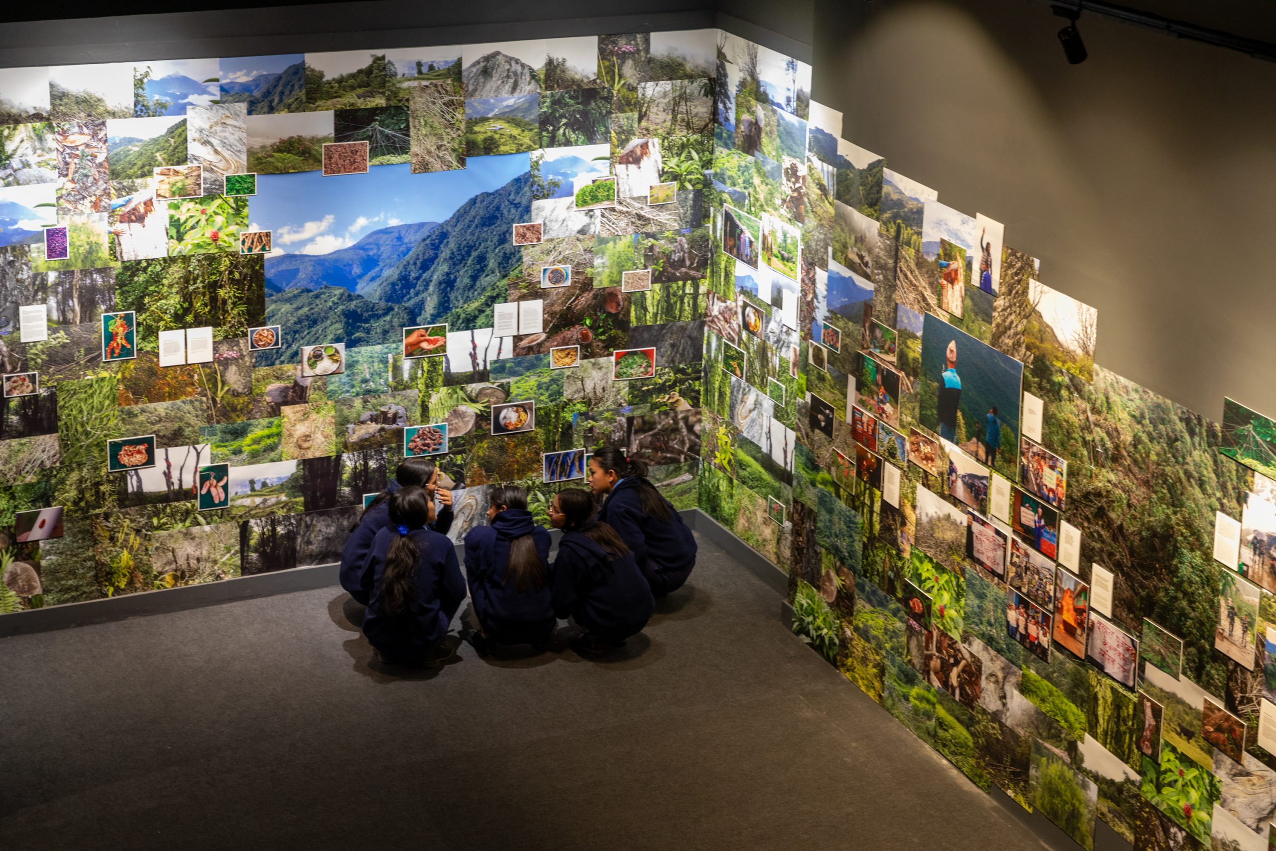 "Tambhungma: The Spirit of Forest." 2024