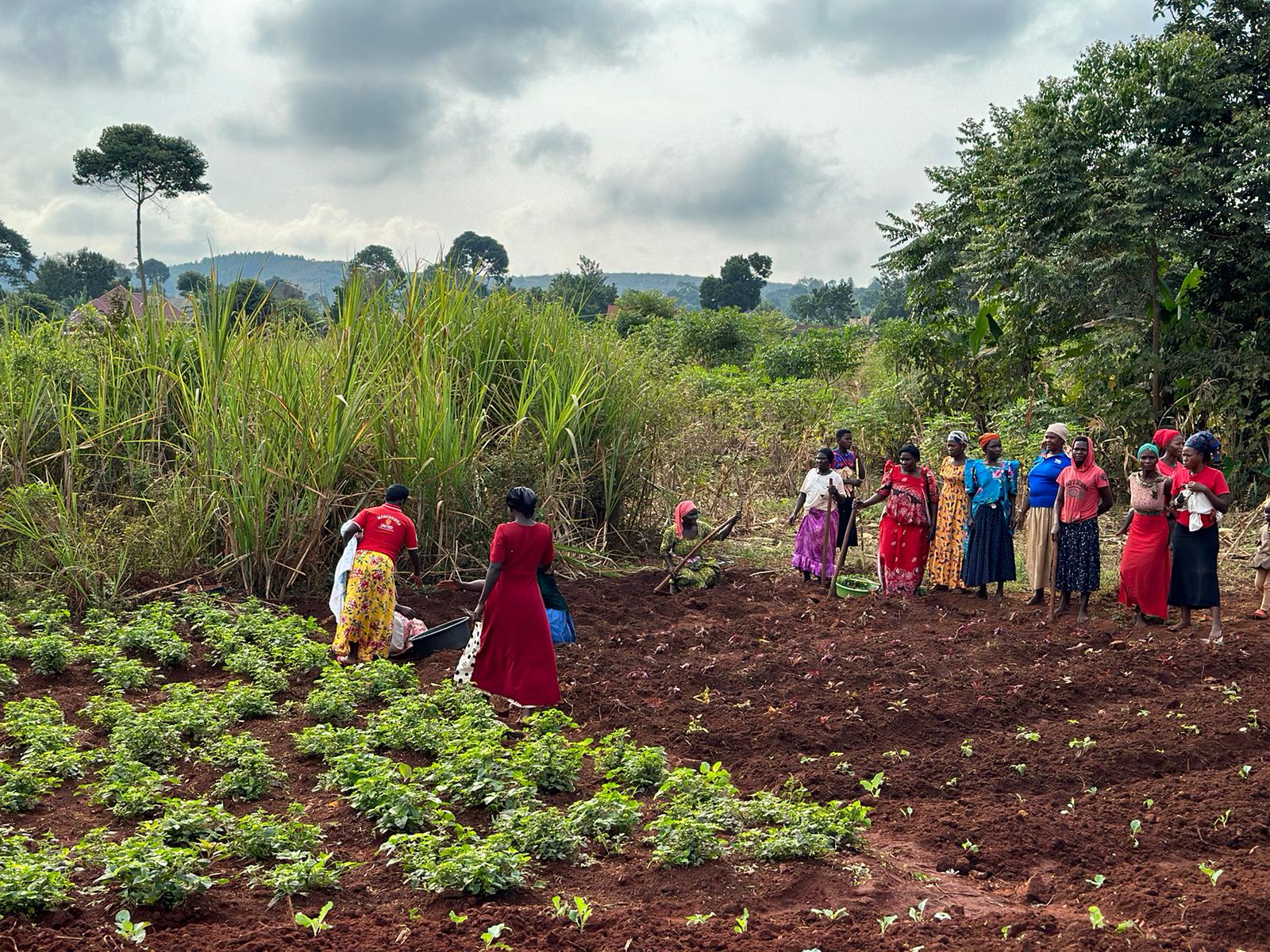 On the Frontlines of the Climate Crisis, Ugandan Activists Find Solutions Beyond the Injustice  
 